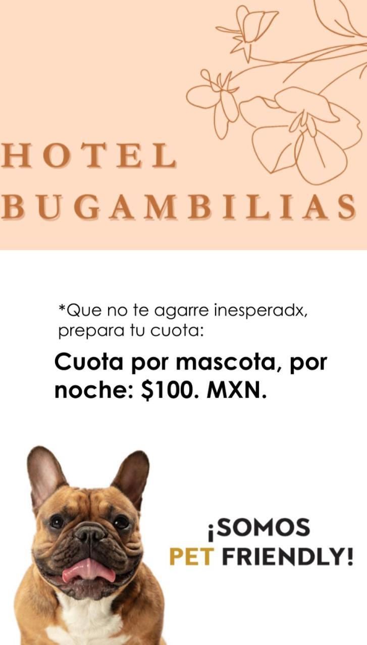 Hotel Bugambilias Oaxaca Eksteriør bilde